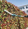 Foarfecă telescopică pentru gard viu cu acumulator Makita DUN461